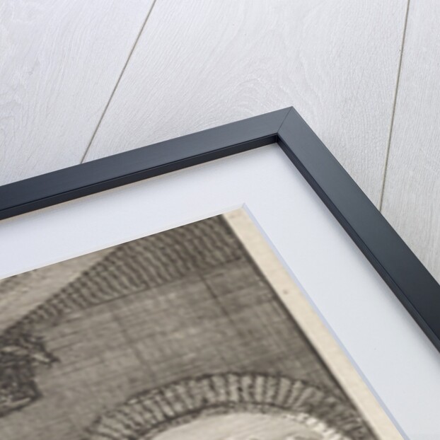 Murder by Cardinal Del Monte, 1560 by Jan Luyken