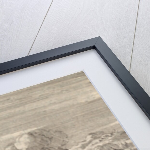 Death of Christoph Bernhard von Galen by Pieter van der Aa I