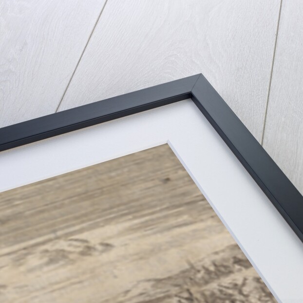 Waldensians chased from Savoy crossing the Lake Geneva in boats back to their country by Anonymous