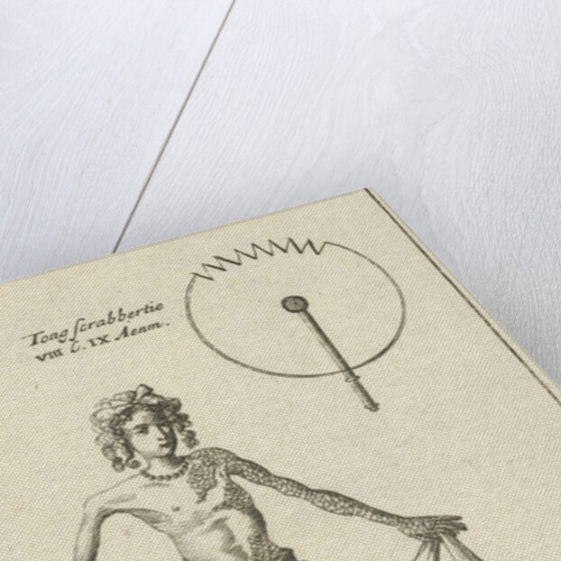 Anatomical image XXII by Jan Claesz ten Hoorn