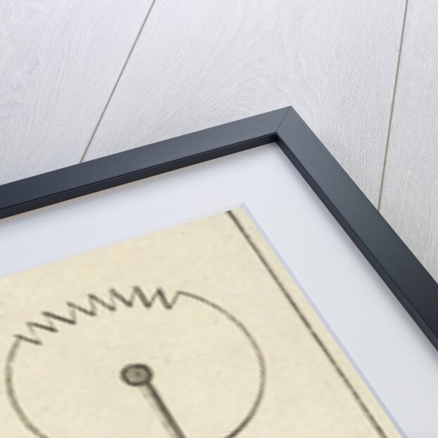 Anatomical image XXII by Jan Claesz ten Hoorn