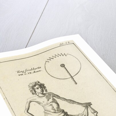 Anatomical image XXII by Jan Claesz ten Hoorn