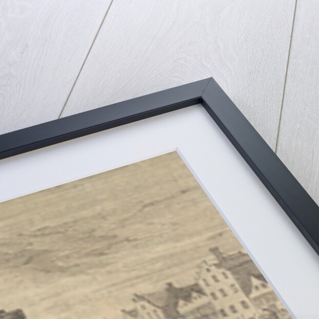 Johan 't Serclaes, Count of Tilly, has conquered Minden and lets his victims be thrown in the river Wertha, 1626 by Pieter van der Aa I