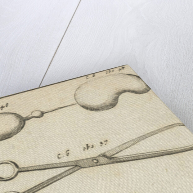 Anatomical image XV by Jan Claesz ten Hoorn