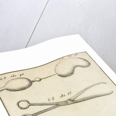 Anatomical image XV by Jan Claesz ten Hoorn