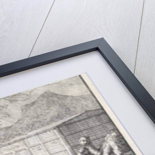 Noah loads all the animals in the Ark, The Flood by Jan Luyken