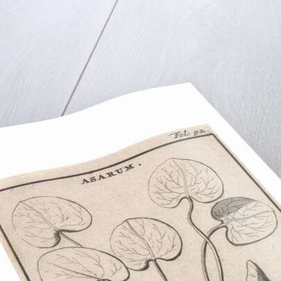 Mansoor by Jan Claesz ten Hoorn