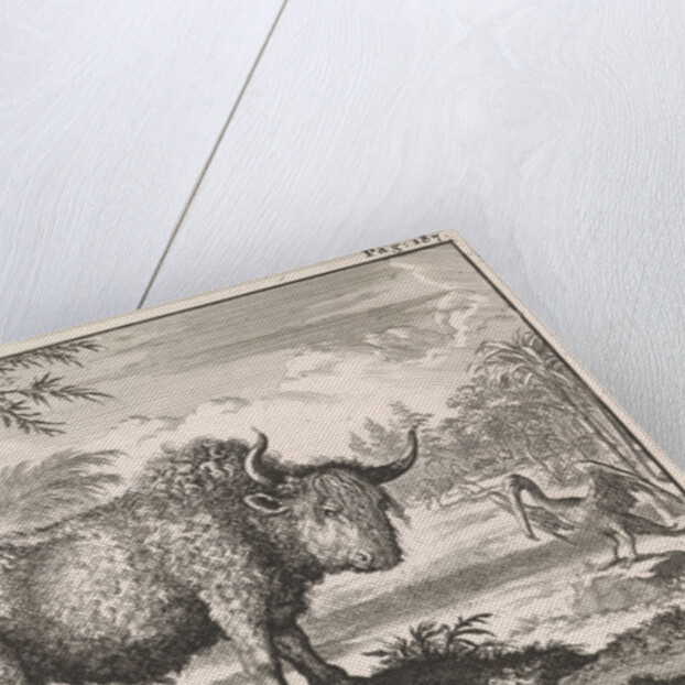 Bison, opposum and a pelican in an exotic landscape by Willem Broedelet