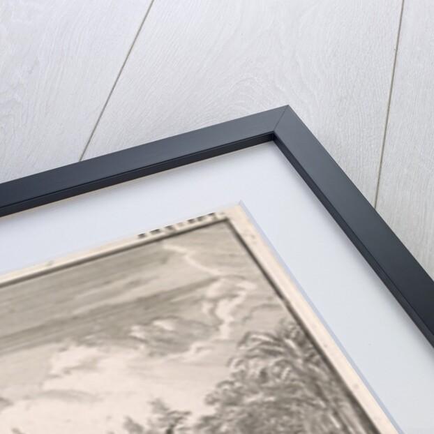 Bison, opposum and a pelican in an exotic landscape by Willem Broedelet