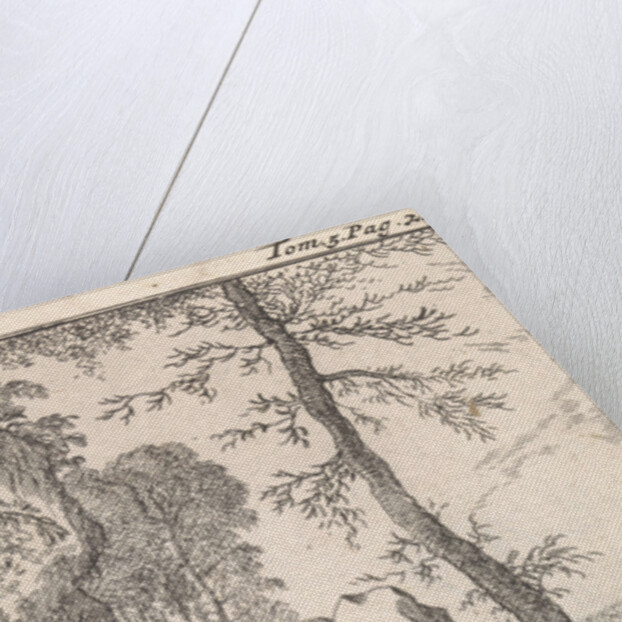 Don Quixote drinks wine with a hermit in a forest by Pieter Mortier