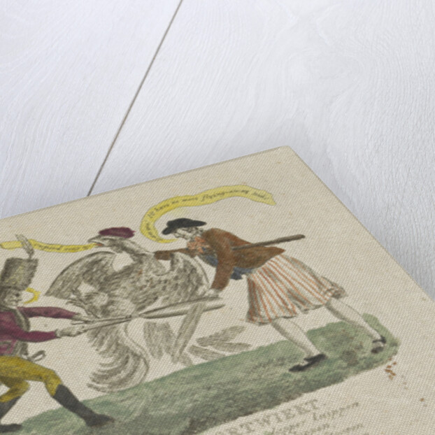 Short Wicks of a French rooster by Anonymous