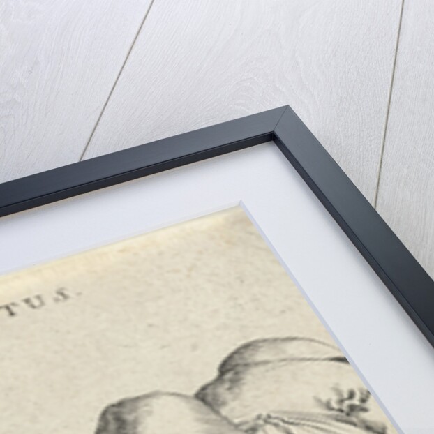 Hearing by Pieter Jansz. Quast