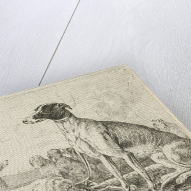 Dog kennel by Jan van den Hecke I
