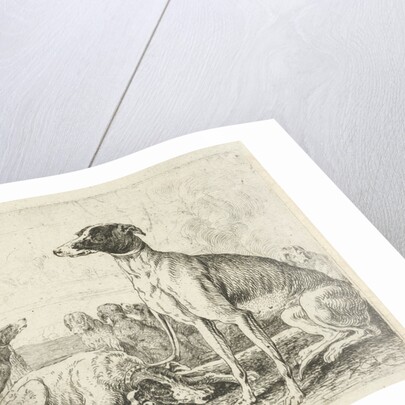 Dog kennel by Jan van den Hecke I