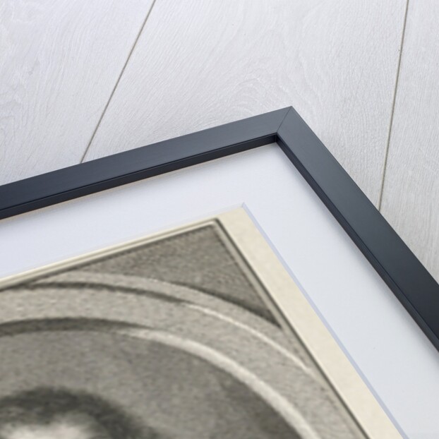 Portrait of Hieronymus van Beverningk by Aert Schouman