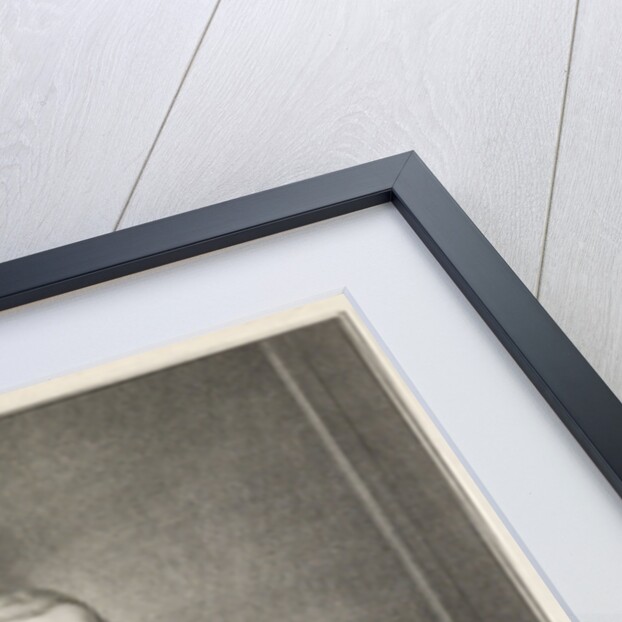 Portrait of Ericus Fredricus Alberti by Jacobus Buys