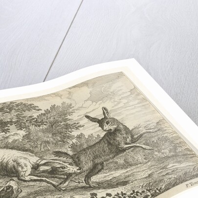 Hunting a hare by Pierce Tempest