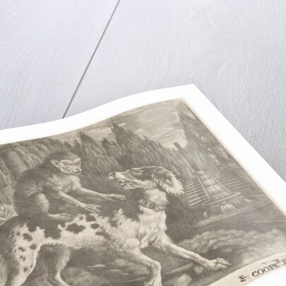 Monkey on the back of a dog by Edward Cooper