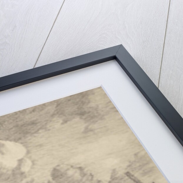 View of the IJ by Adam Silo