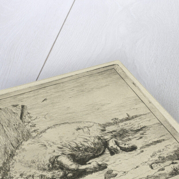 Lying pig by Paulus Potter