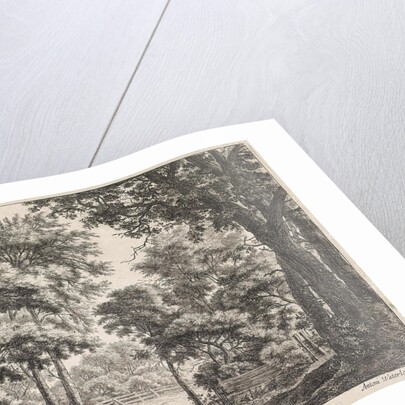 Large trees on either side of a path by Anthonie Waterloo