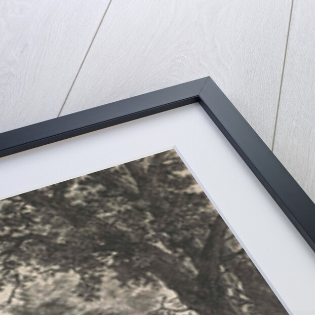 Large trees on either side of a path by Anthonie Waterloo