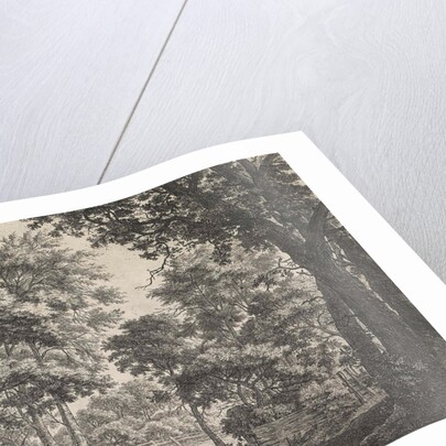 Large trees on either side of a path by Anthonie Waterloo