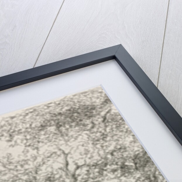 Creek by Willem Roelofs I