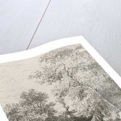 Creek by Willem Roelofs I