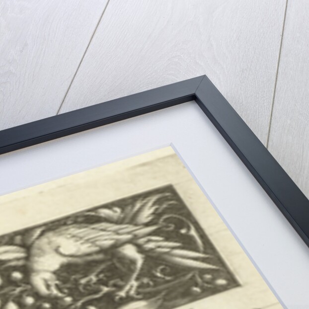 Two friezes, both with raptors by Michiel le Blon
