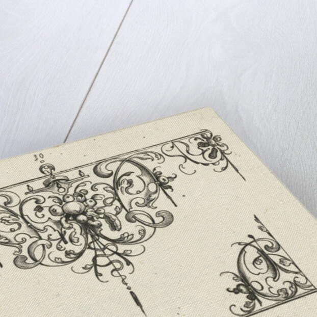 Ornament featuring a fruit trophy by Balthasar Caymox