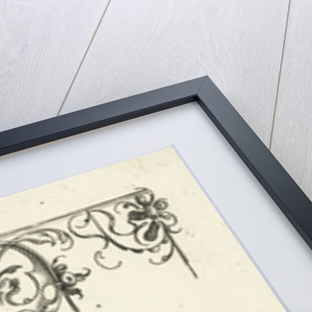 Ornament featuring a fruit trophy by Balthasar Caymox