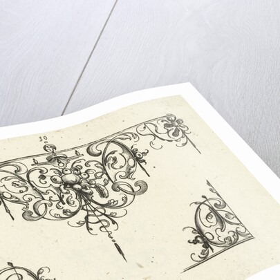 Ornament featuring a fruit trophy by Balthasar Caymox