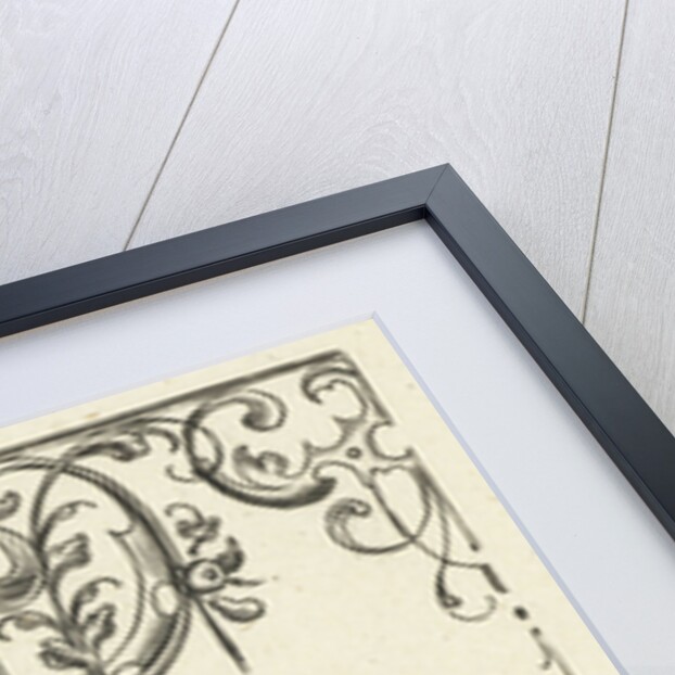 Ornament, Michael le Blon by Balthasar Caymox