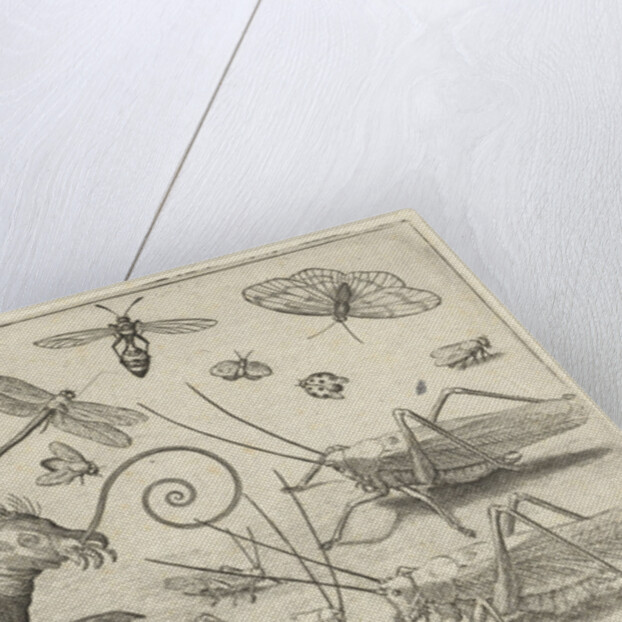 Locusts and fantasy creature with wings by Nicolaes de Bruyn