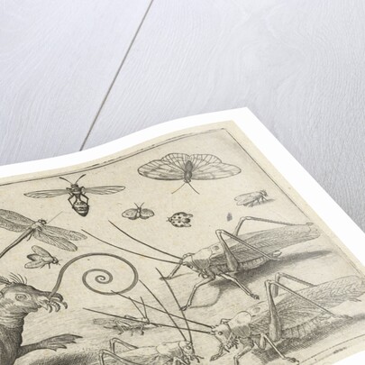 Locusts and fantasy creature with wings by Nicolaes de Bruyn