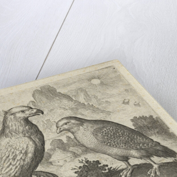 Eagle and other birds of prey by Nicolaes de Bruyn