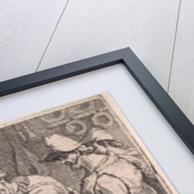 The village surgeon by Jan Baptist de Wael