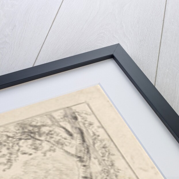 Forest scene with pond by Andreas Schelfhout