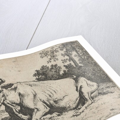 Lying cow near a tree by Paulus Potter
