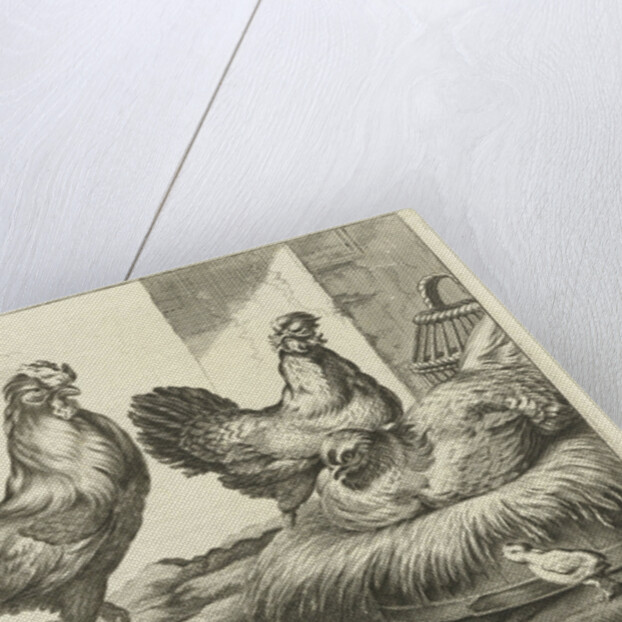 Chicken, roosters and chicks by Francis Barlow
