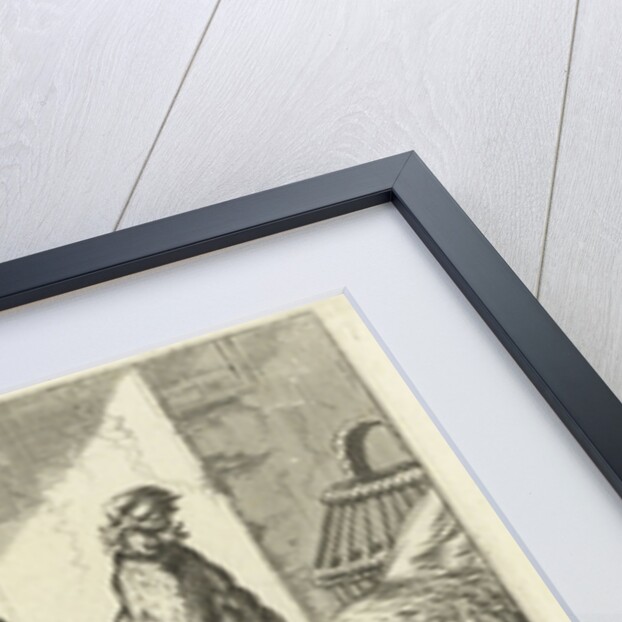 Chicken, roosters and chicks by Francis Barlow