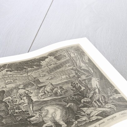 Hunting boar by Philips Galle