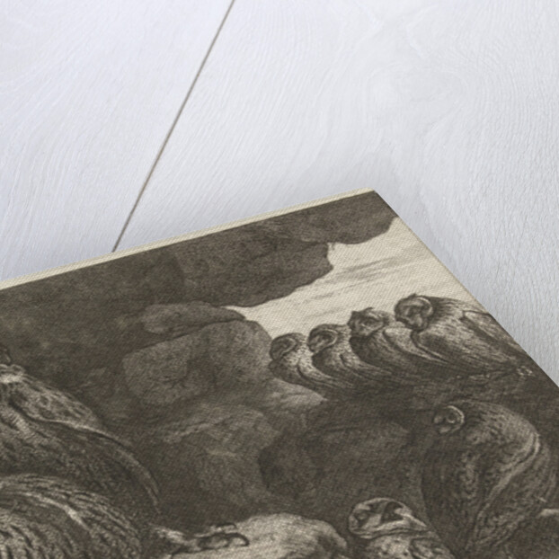 Owls in a cave by Lodewijk XIV