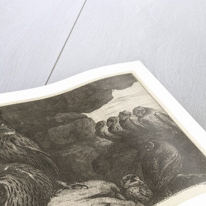 Owls in a cave by Lodewijk XIV