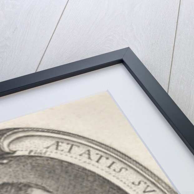 Portrait of a 29-year-old man by Jacob Matham