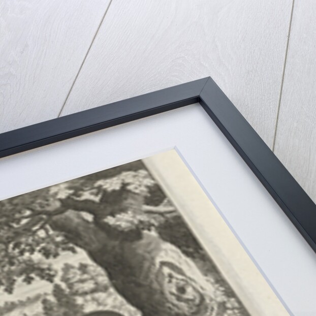 Malchus of Chalcis as a hermit by Maerten de Vos