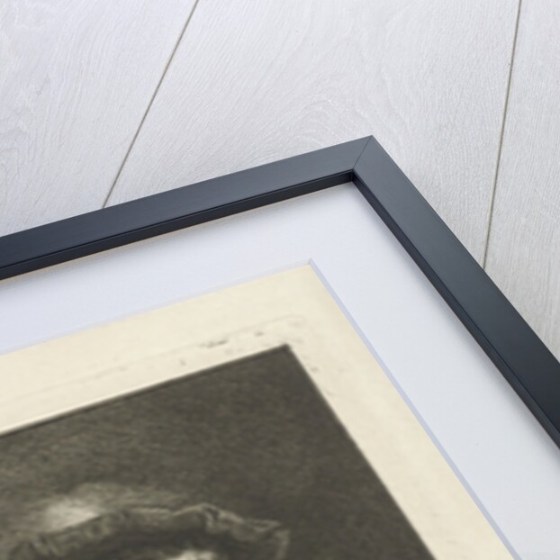 Portrait of an unknown man with feathered beret by Johannes Pieter de Frey