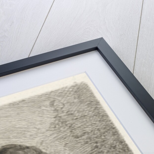 Portrait of Cornelis van Dalen by Johannes Pieter de Frey