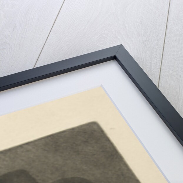 Portrait of Arnout Tholinx by Rembrandt Harmensz. van Rijn